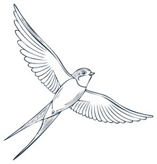 Fototapeta premium Flying swallow illustration, isolated outline drawing, stylized bird in flight, vector design