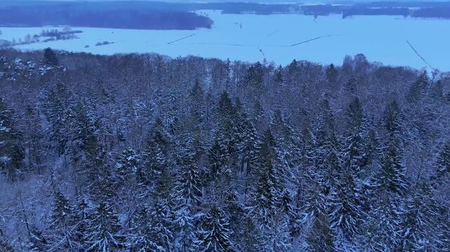 Drone flight over a snow-covered fores