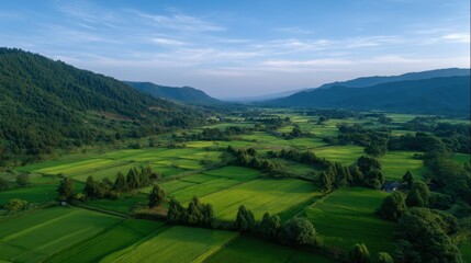 Obraz premium Serene View Over Patchwork Green Fields in a Vibrant Landscape