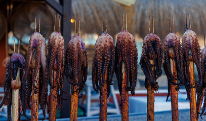 typical dish in andalousian restaurant, grilled squid on stick on barbecue