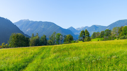 Breathtaking views of the low tauern mountains reveal lush green fields and towering peaks under a clear blue sky. Nature thrives in this serene Austrian landscape, perfect for outdoor adventures.