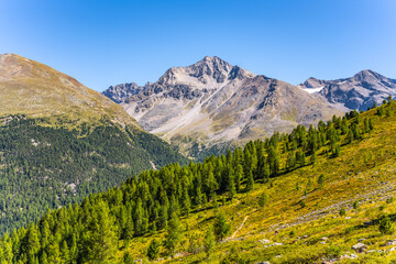 Fototapeta premium Lush greenery and rocky peaks characterize the Ortler Alps in Italy. The clear blue sky enhances the beauty of the landscape, inviting hikers and nature lovers to explore.