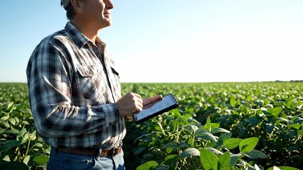 A professional farmer monitors his vast green crops using a digital tablet, captured in a bright daylight close-up shot on his expansive agricultural field.