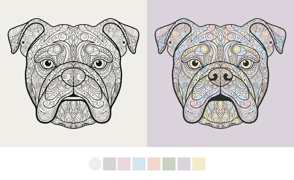 Intricate Zentangle/Mandala Bulldog Head Vector