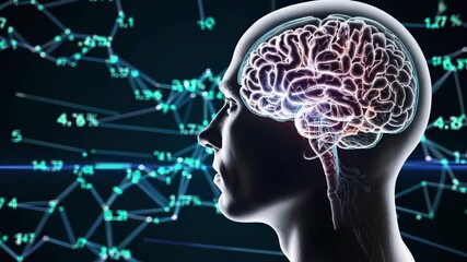 human brain illuminated with digital lines and graphs. fusion of brain function and data analysis. connection between cognitive processes and digital information. human figure with glowing brain. - Powered by Adobe