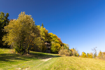 Observation tower in autumn Oravska Lesna forest