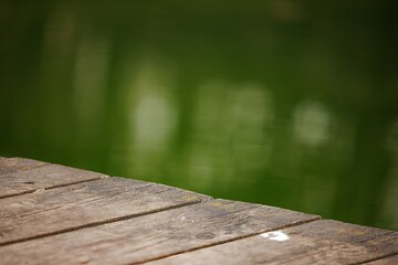Calm wooden dock stretching into serene green waters on a peaceful day