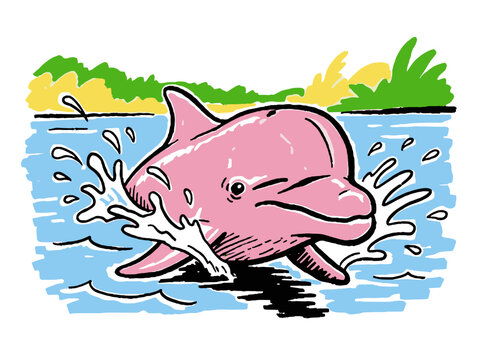 Cute pink dolphin cartoon mascot swimming in water splash with tropical background. River animal vector illustration for kids print.
