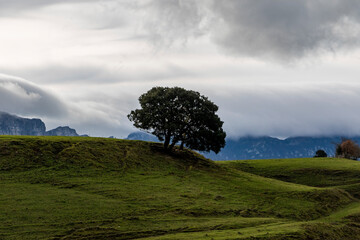 Valle de Mena (Burgos)