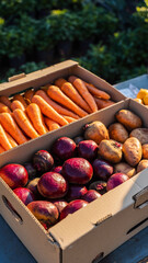 Fresh carrots, potatoes, and onions in a cardboard box outdoors.