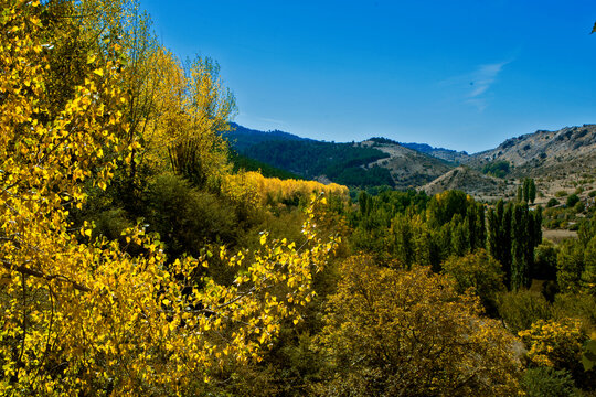 Oto&ntilde;o, en el parque natural de Cazorla, Segura y Las Villas.
