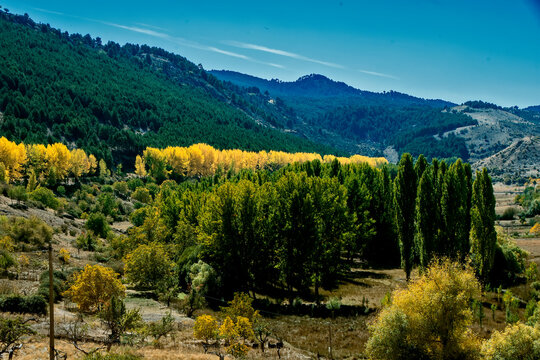 Oto&ntilde;o, en el parque natural de Cazorla, Segura y Las Villas.