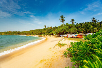 Sri Lanka beach at sunrise. Tangalle