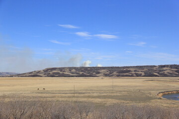 Fototapeta premium Qu'Appelle Valley Horses and River Scenery.