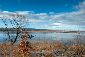 winter on the shore of a frozen lake on a sunny day