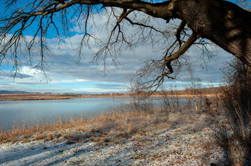 winter on the shore of a frozen lake on a sunny day