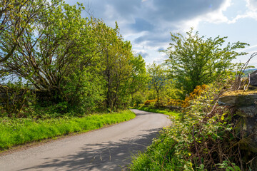 Obraz premium Paysage rural verdoyant du Lake District, route de campagne bordée de murets en pierre et forêts au printemps, Cumbria, Angleterre