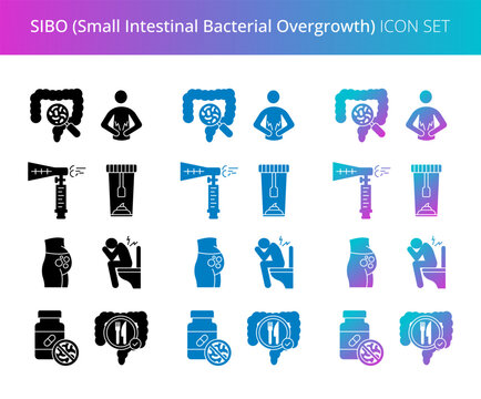 SIBO (Small Intestinal Bacterial Overgrowth) set. Includes intestines, gut bacteria, common symptoms, diagnostic breath tests, treatment, and dietary management.