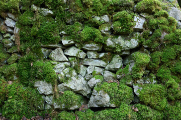 A wall covered in moss and rocks