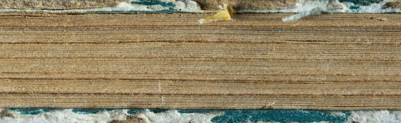 Close-up of layered plywood texture with visible wood grain and rough fibrous edges background.