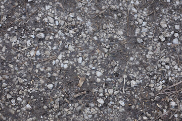 A close up of a rocky ground with a lot of debris