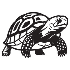 Fototapeta premium Stylized Black and White Tortoise with Detailed Shell Illustration