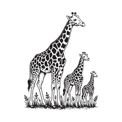 Obraz premium Giraffe and Baby Giraffe Family Silhouette Illustration in Safari Nature