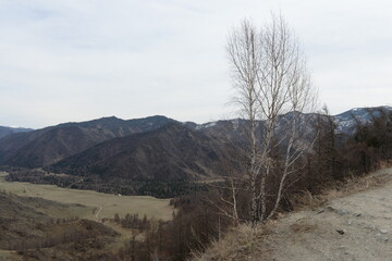 Mountain landscape on the Chike Taman pass. Altai Republic