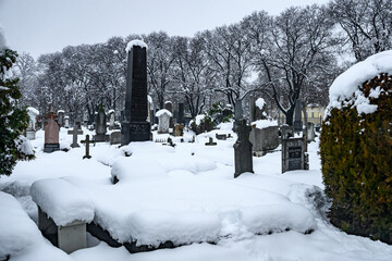 Naklejka premium Novi Sad, Serbia - January 05, 2026: Catholic Cemetery covered with heavy snow