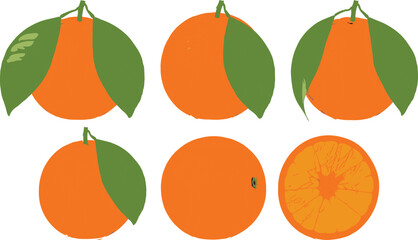 Orange fruit set whole and sliced, fresh citrus illustration with leaf detail, juicy segment artwork &ndash; flat vector illustration