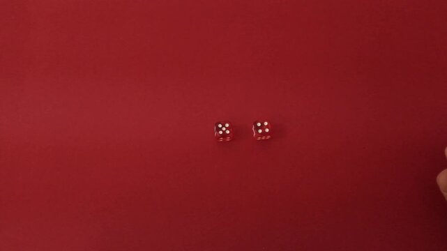 Throwing the dice. Red cubes with white dots on red background. Playing board games, gambling, winning or loosing in the casino. Slow motion closeup video.