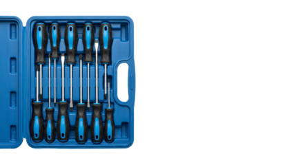 Screwdriver Set in Blue Case - Professional Tool Kit for DIY and Repair