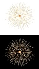 Obraz premium Fireworks Exploding in Dark and Light Backgrounds