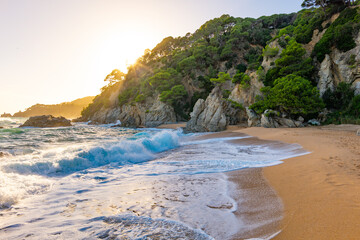 Fototapete bei efototapeten.de bestellen   