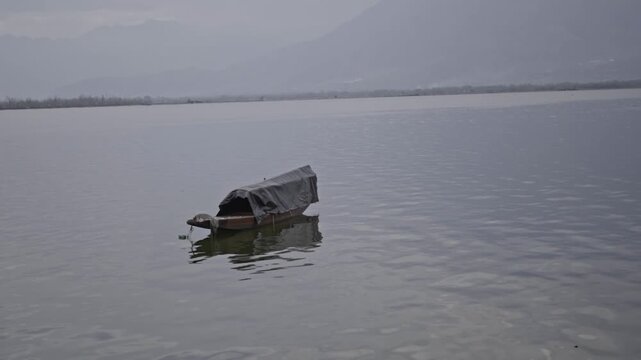 Traditional Shikara boats floating on the serene waters of Dal Lake in Srinagar, Kashmir.