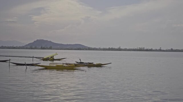 Traditional Shikara boats floating on the serene waters of Dal Lake in Srinagar, Kashmir.