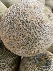 Close Up Of A Ripe Cantaloupe Melon With Textured Green Skin