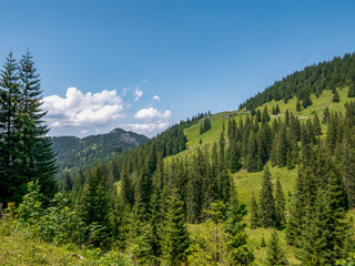 The sunny side of the Blauberge mountains. At the top right, you can see the Blaubergalm, which is located in Austria.