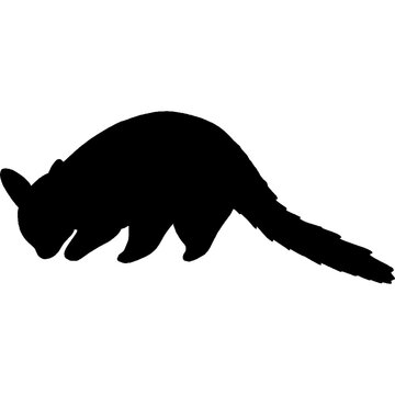 Bushy tailed opossum silhouette