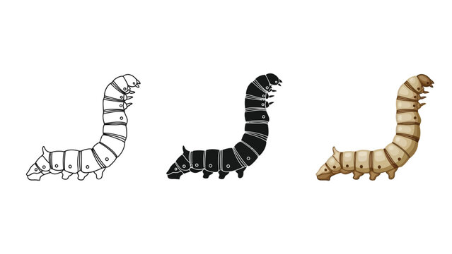 Set of three illustrations of a silkworm larva bombyx mori in different styles outline, silhouette and realistic watercolor drawing