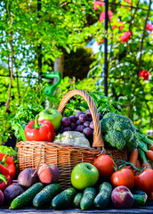 Fresh organic vegetables and fruits in the garden