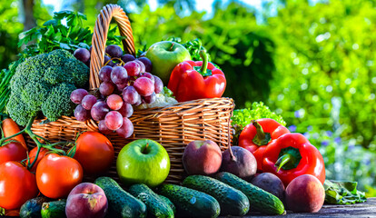 Fresh organic vegetables and fruits in the garden