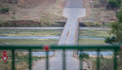 Eingang am Crocodile Bridge Gate am Kr&uuml;ger National Park