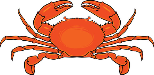 Vibrant red crab vector isolated on white. Great for nautical designs, seafood festivals, and educational materials. Isolated Sea Animal Icon for Beach and Seafood Themes. Red Crab Vector Illustration © MdElyeas