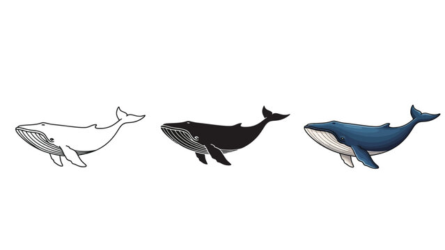 Set of three humpback whales outline sketch, solid black silhouette and detailed blue illustration