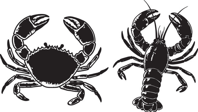 Hand drawn vector illustration of two detailed crabs isolated