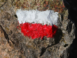 red and white trail marker on rock covered moss and lichen