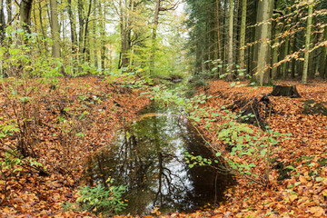 Erholung im Wals an einem Herbsttag