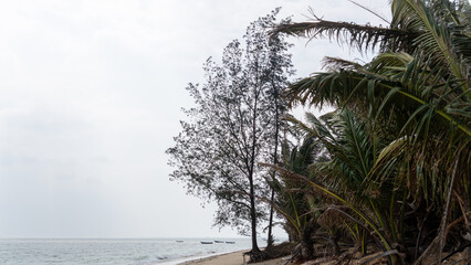 Milky Turquoise Sea in a Coastal Lagoon