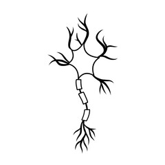 hand drawn cell neurons on white background